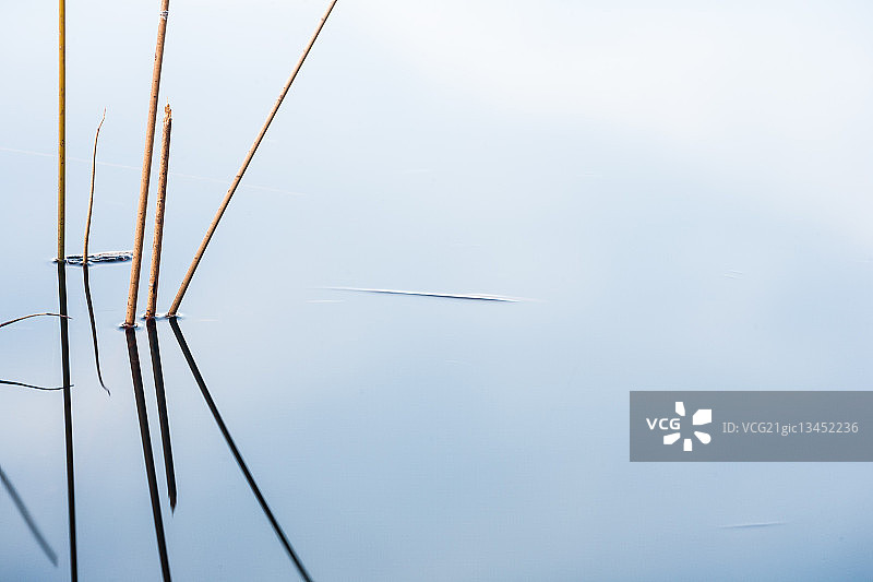 Essenzialmente图片素材