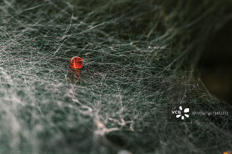 红色玻璃球在蛛网上图片素材