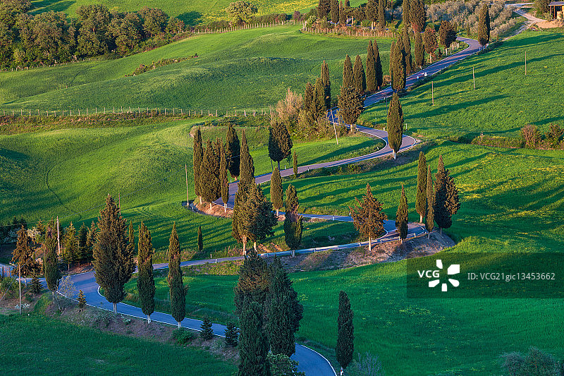 托斯卡纳的蜿蜒道路图片素材