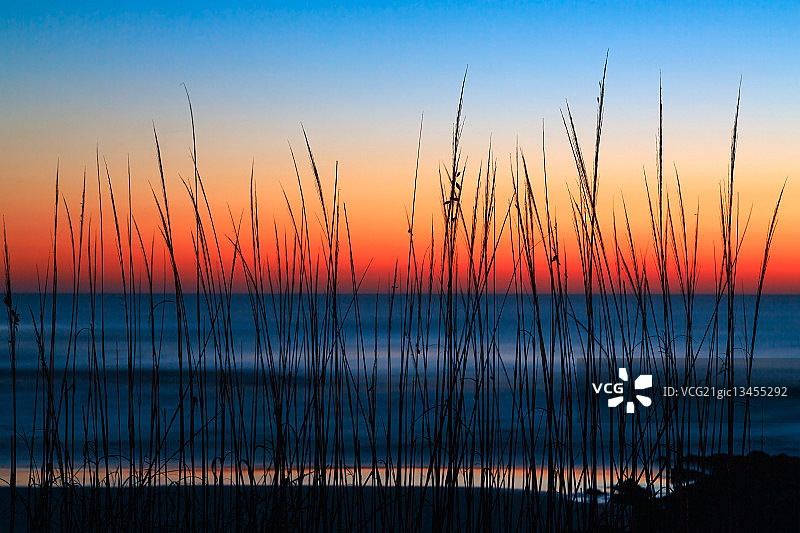 沙丘草地黎明图片素材