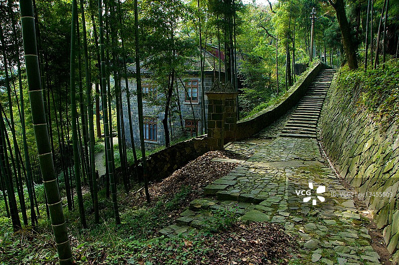 中国浙江省莫干山竹林中的房屋图片素材
