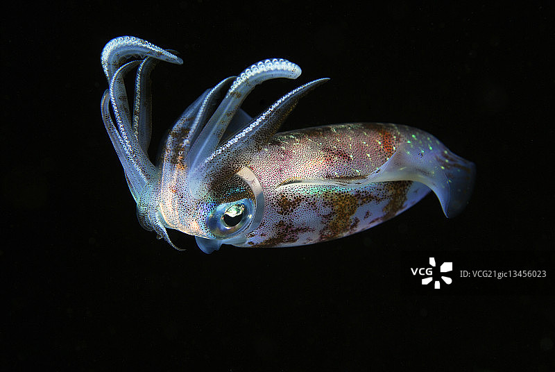 霓虹灯下的居住图片素材