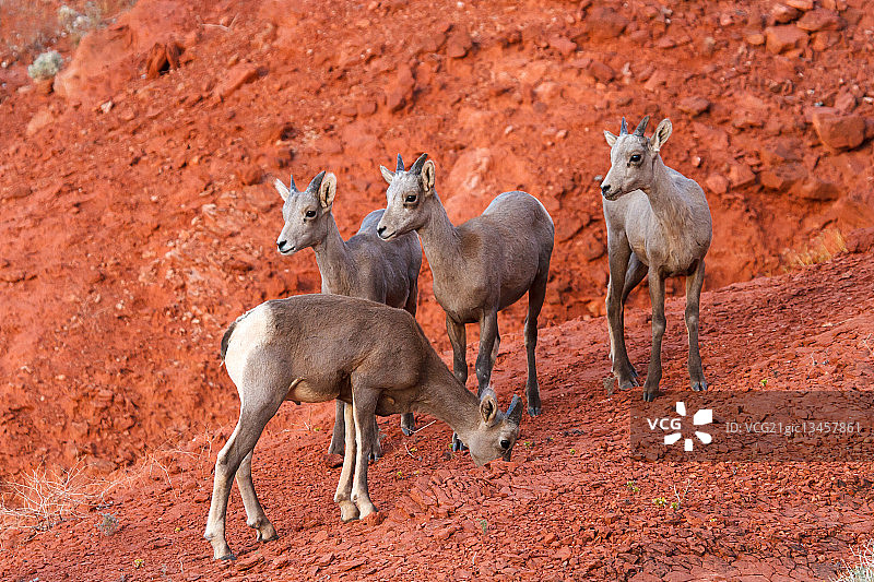 年轻人图片素材
