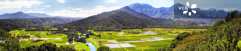 夏威夷考艾岛普林斯维尔的哈纳雷山谷图片素材