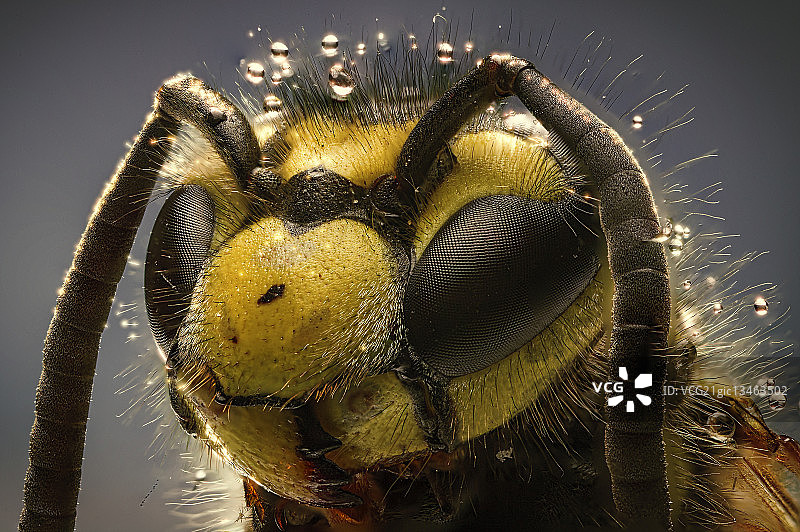 微笑肖像图片素材