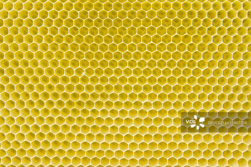 蜂窝图案图片素材