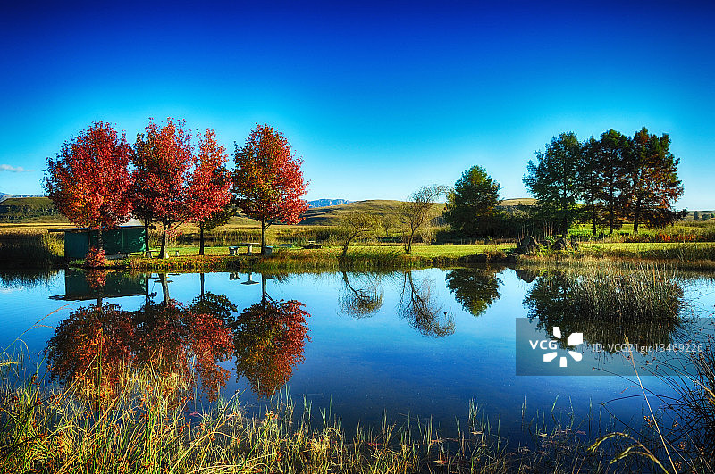 南非安德伯格秋季湖面倒影树木图片素材