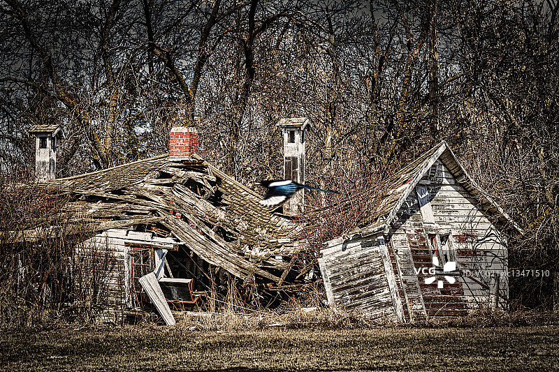 4月7日速记图片素材