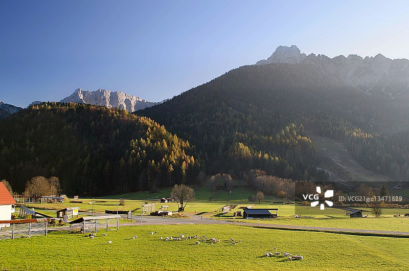 阳光明媚的下午图片素材