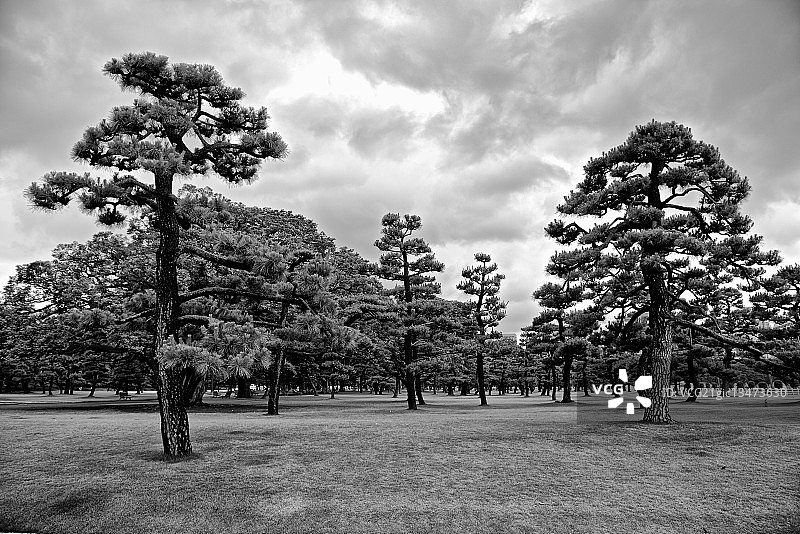 日比谷公园图片素材