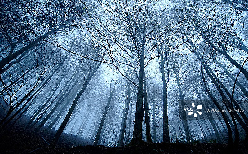 你正在被监视图片素材