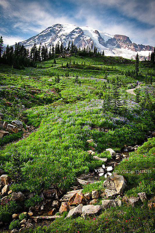 美国华盛顿州雷尼尔山国家公园天堂谷风光图片素材