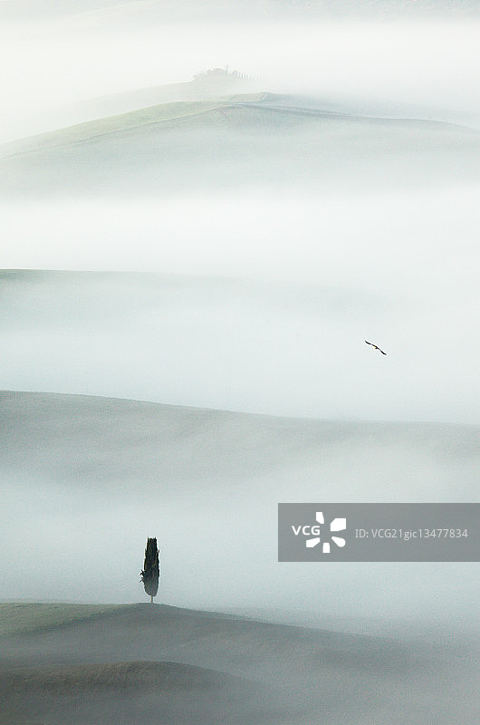 飞向远方…图片素材