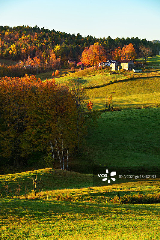 日出时分的简内农场图片素材