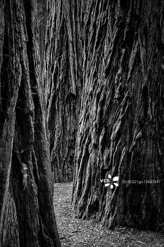 贝尔奇-海洋景观，美国图片素材