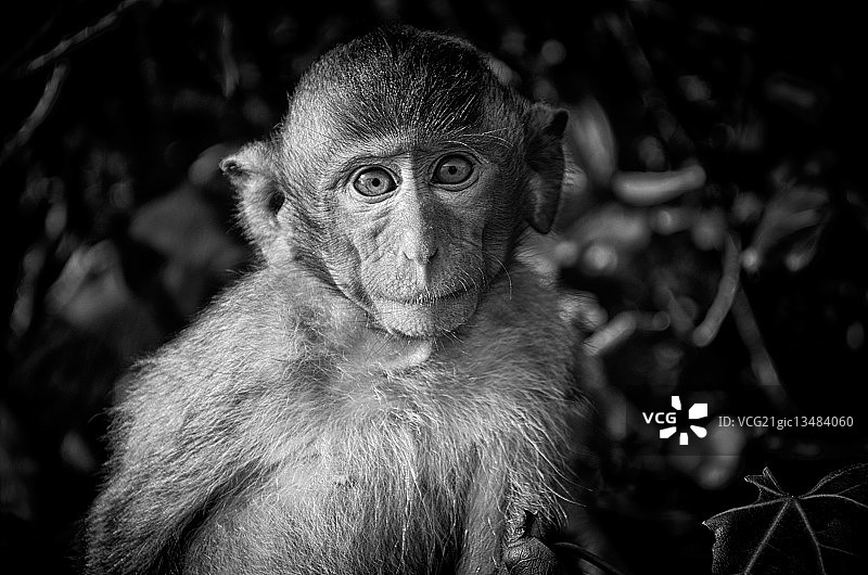 Olga Akulinina摄影作品图片素材