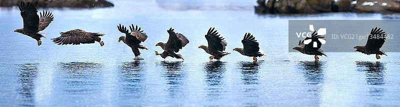 舞蹈编排图片素材