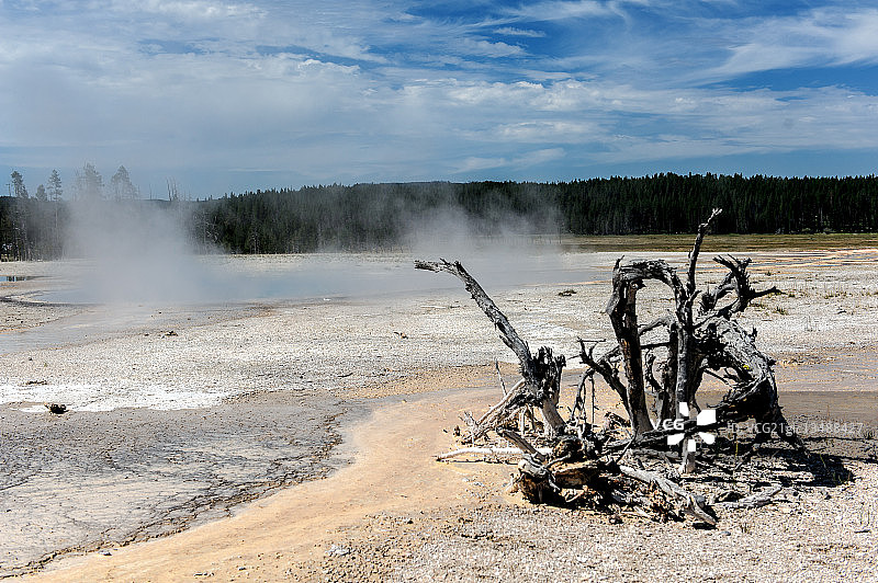 黄石公园图片素材