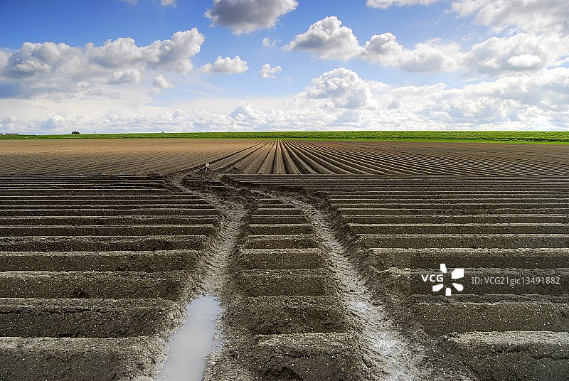 荷兰泽兰省费尔斯梅尔的田野轮胎痕迹图片素材