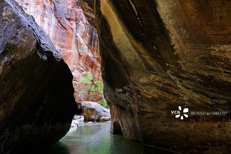 美国犹他州锡安国家公园锡安峡谷的狭缝型峡谷景观图片素材