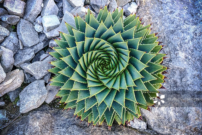 通往平行宇宙的门图片素材