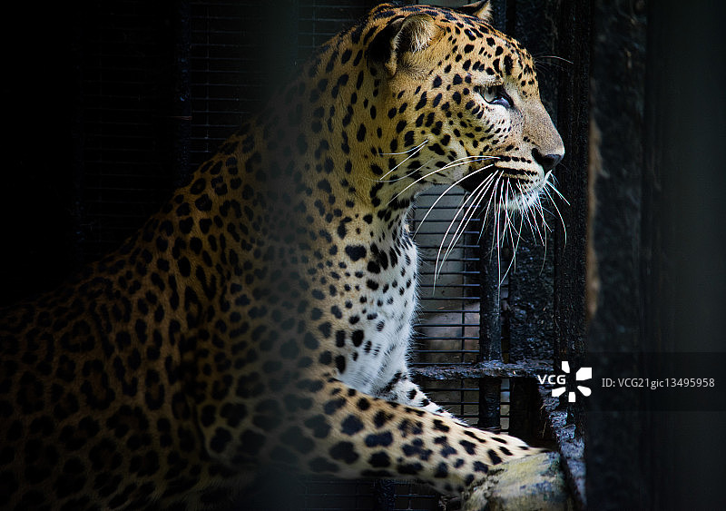 生活在希望中图片素材