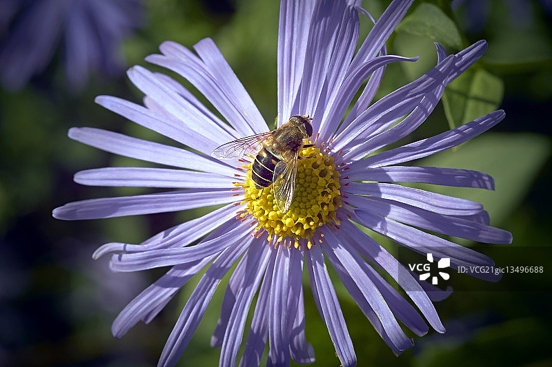 参观者图片素材