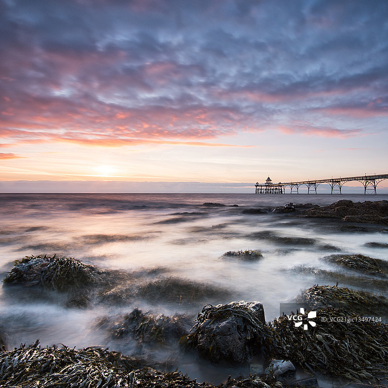 海藻和岩石图片素材