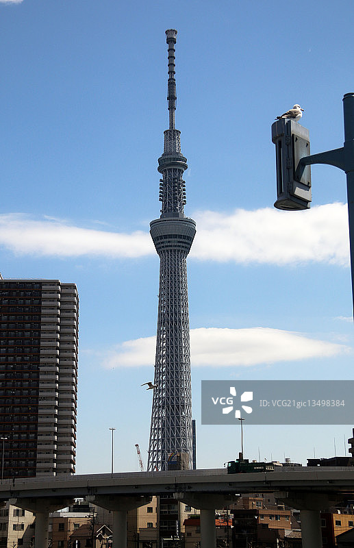 日本东京晴空塔图片素材
