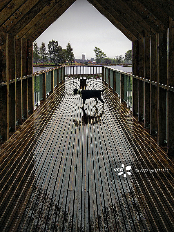避风港图片素材