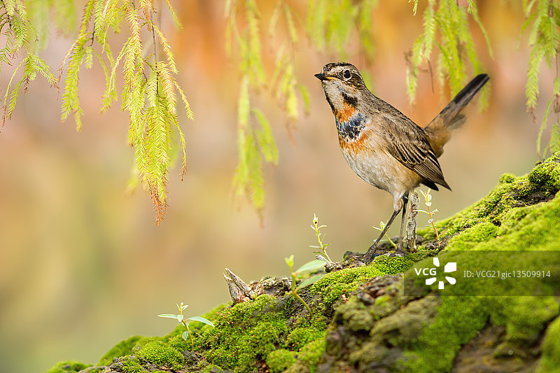 中国台湾基隆图片素材