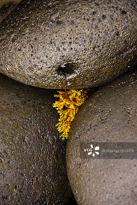 西班牙亚伊萨图片素材