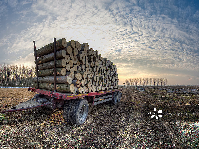森林砍伐2图片素材