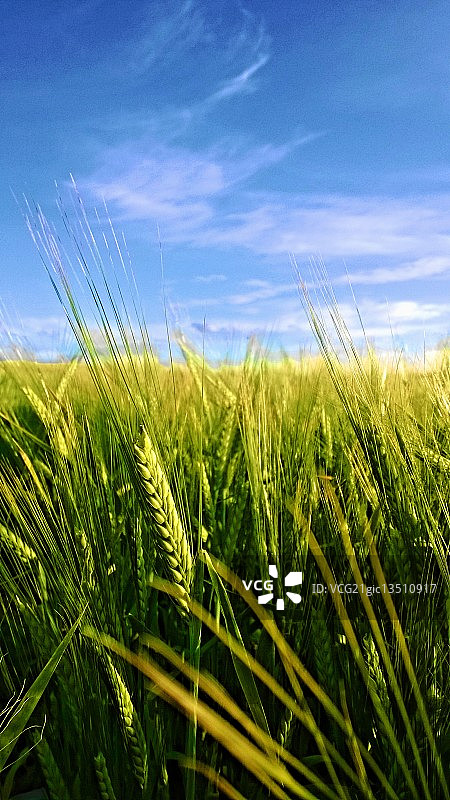 万里挑一图片素材