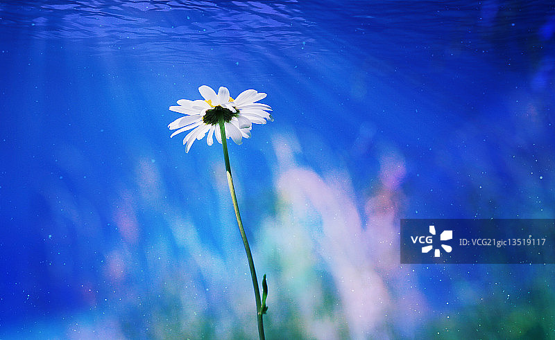 瑞士卢特恩图片素材