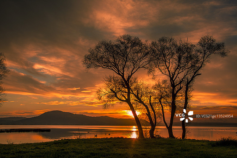 罗托鲁阿湖的日落图片素材