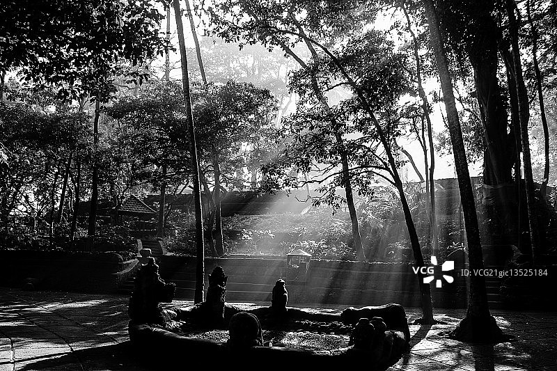 巴厘岛乌布猴庙图片素材