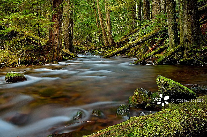 黑豹溪 (华盛顿州)图片素材