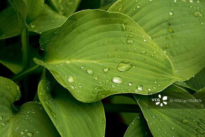 直到你倒下图片素材