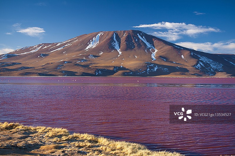 拉古纳Colorada图片素材