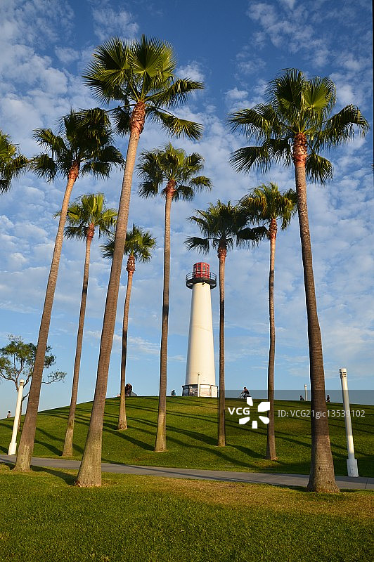 灯塔与棕榈树图片素材
