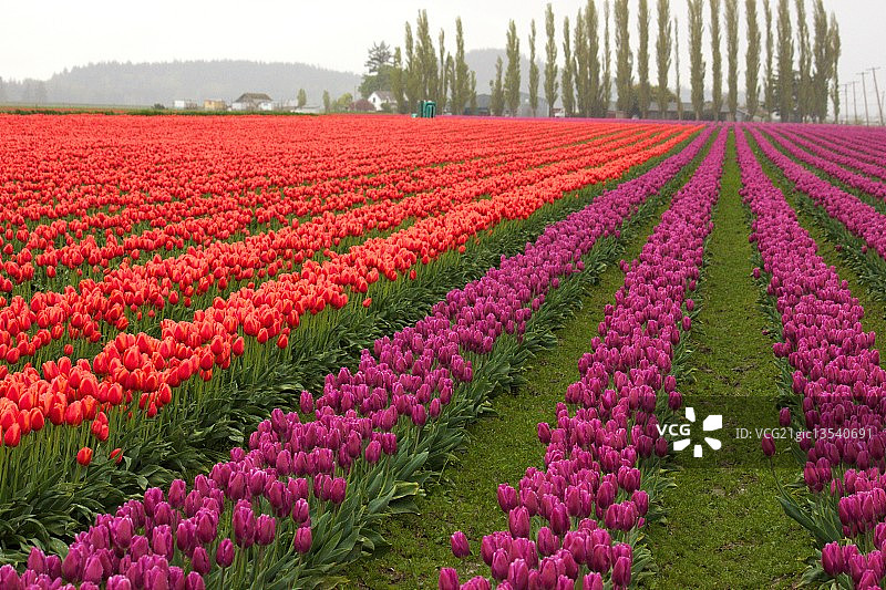 消失点图片素材