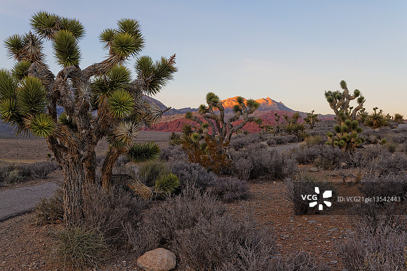 莫哈韦沙漠风光图片素材