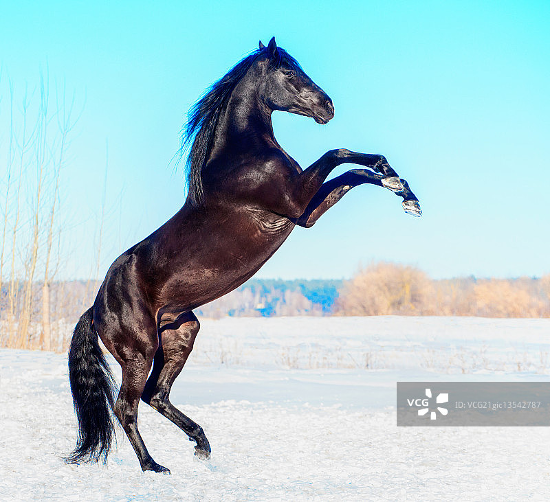 玄武岩图片素材
