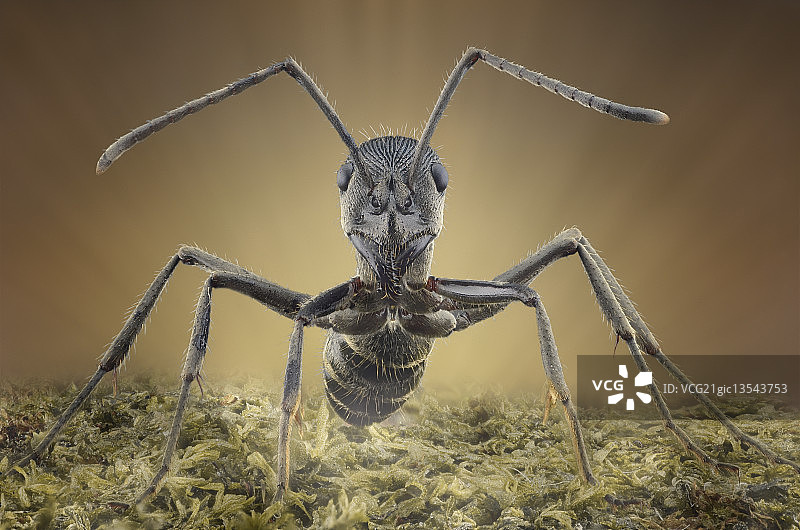 变得更强大图片素材