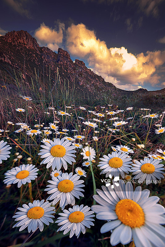 西班牙卡马里尼亚斯图片素材