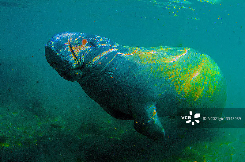 马纳提水晶河图片素材