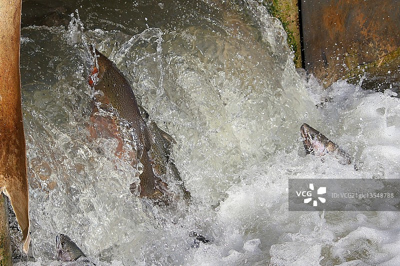 轮到你了图片素材