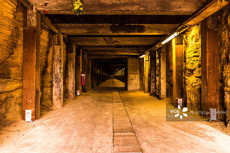 凤头鹦鹉图片素材