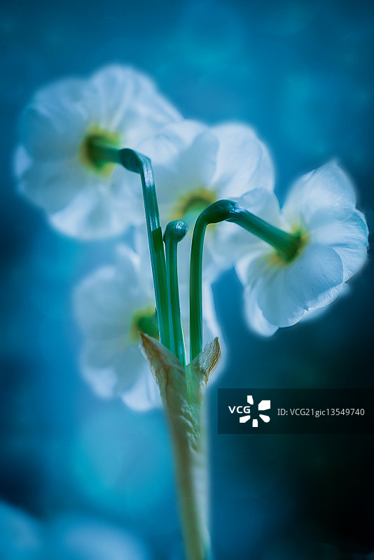 另一面图片素材